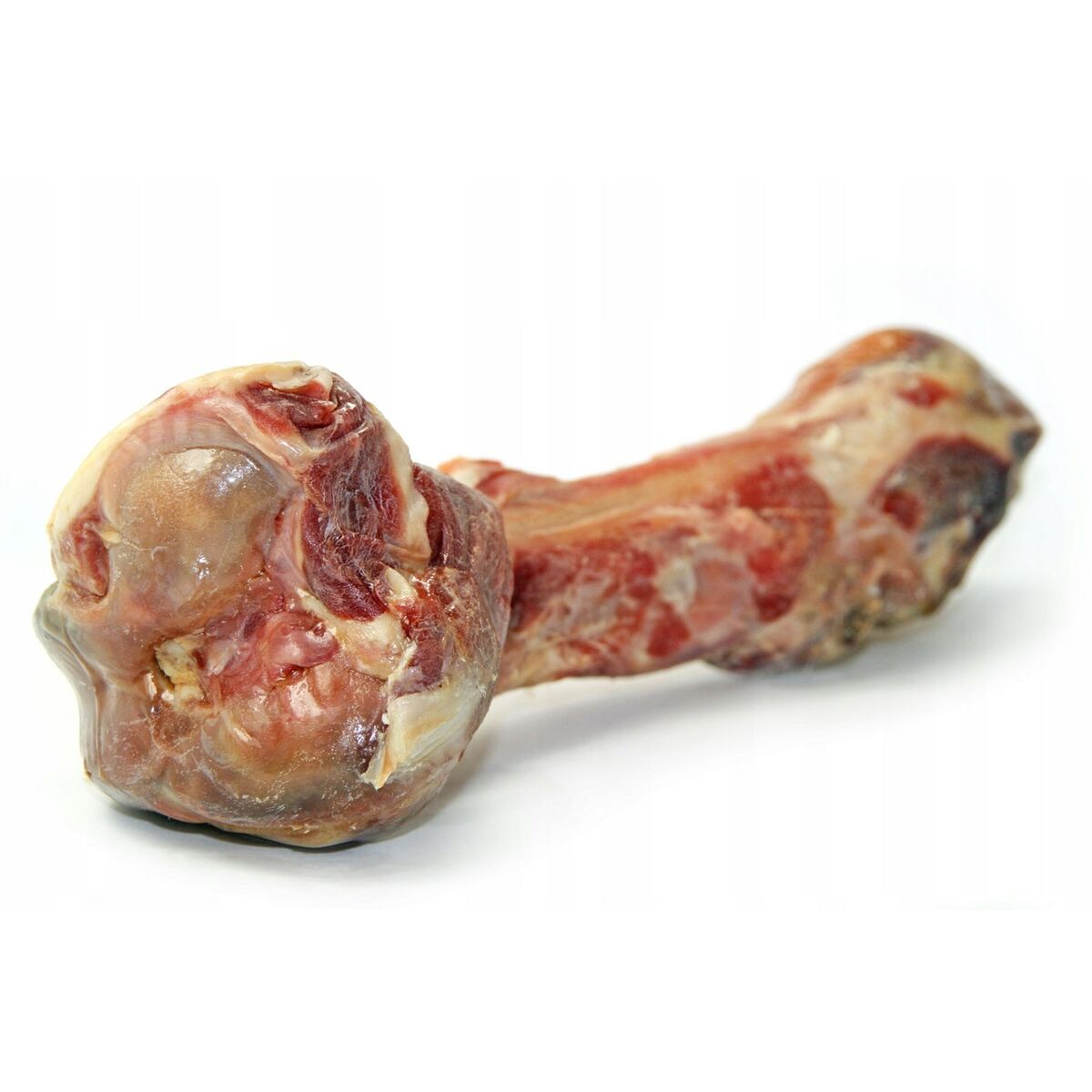 Dog Snack EDEN Prosciutto di Parma Pig-1