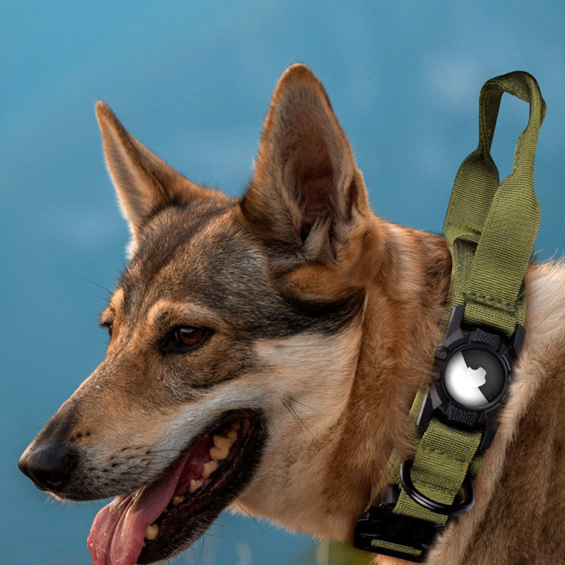 Collier AirTag-5