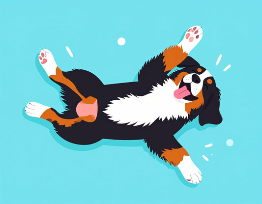 🐾 Ce que mon chien m’a appris sur le lâcher-prise