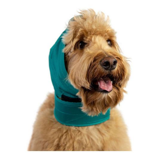 Ear Protector for Dogs KVP Green XL-0