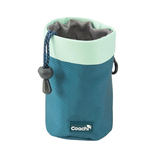 Dog Harness Coachi-4