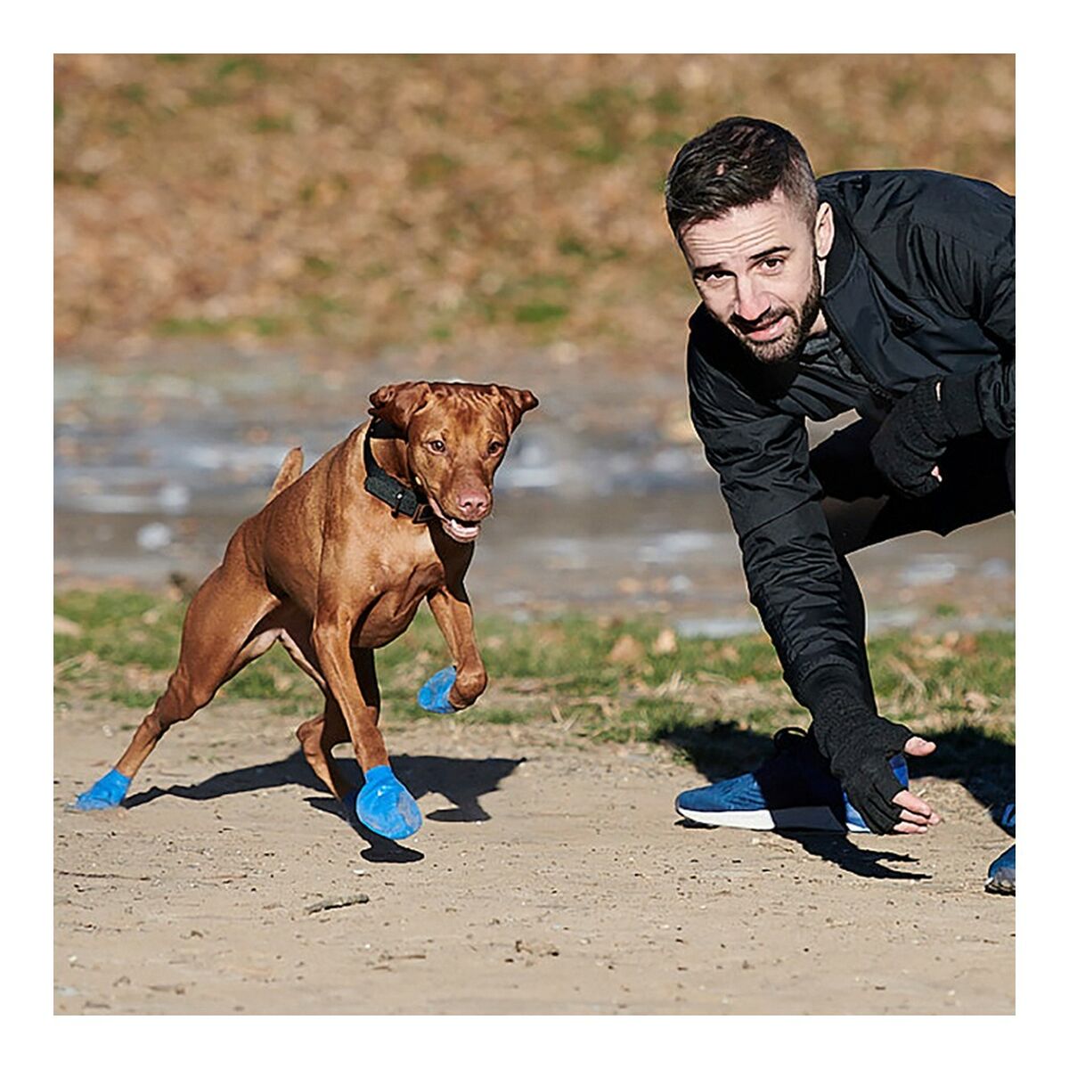Boots Pawz Dog 12 Units Size XL Green-4