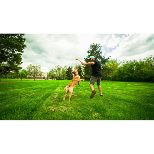 Ball Launcher for Dogs Hunter-3