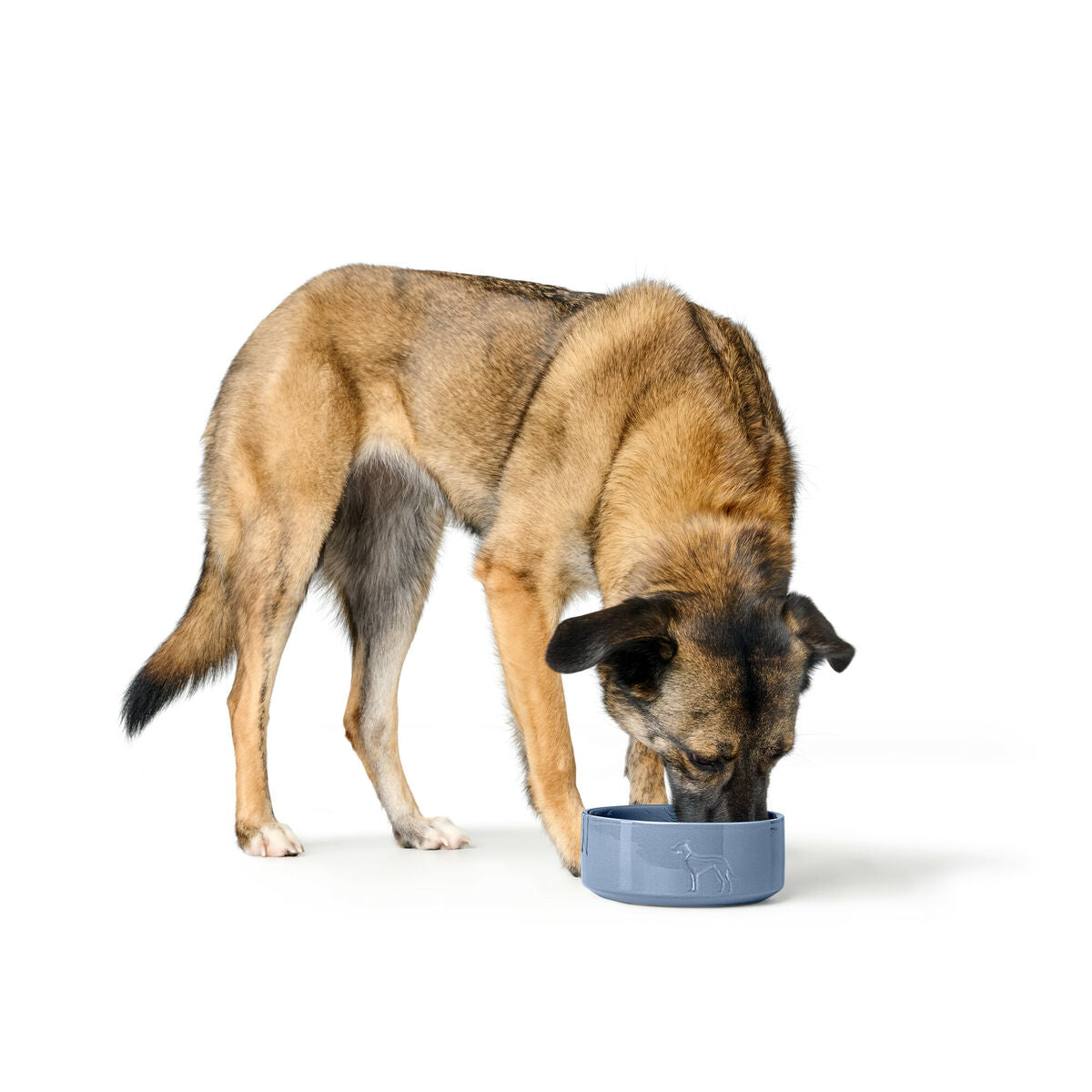 Dog Feeder Hunter OSBY GLAZED Blue Ceramic 2,5 L-3
