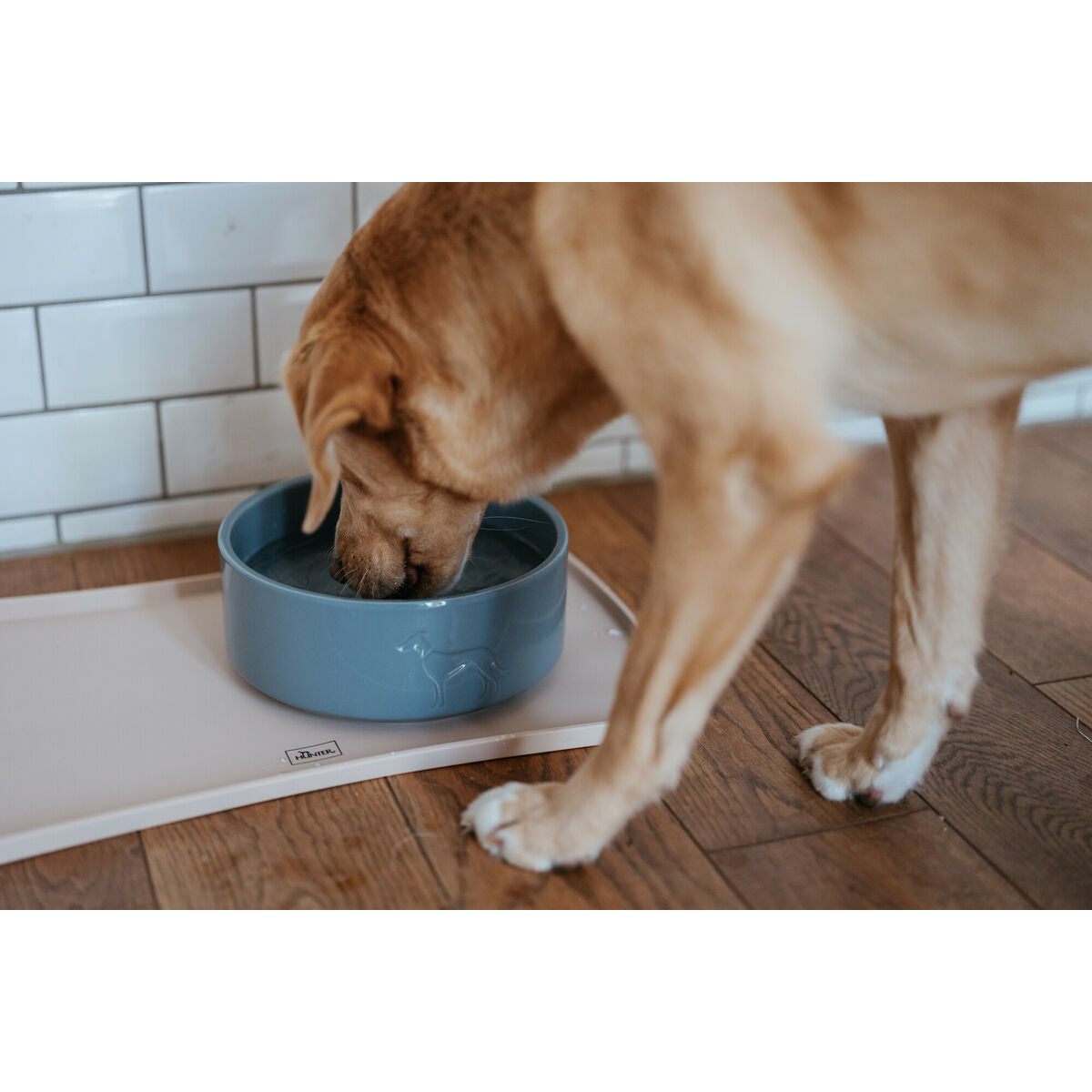 Dog Feeder Hunter OSBY GLAZED Blue Ceramic 2,5 L-1