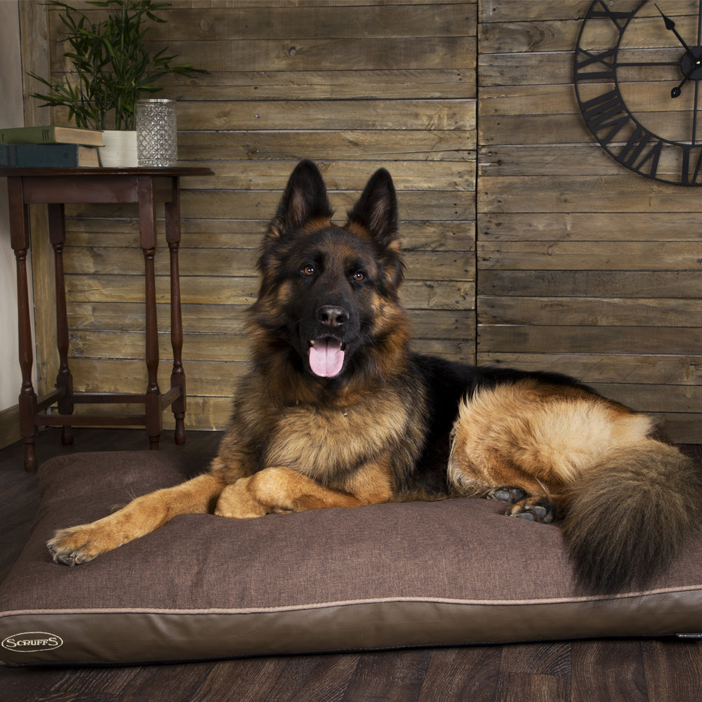 Matelas orthopédique -5