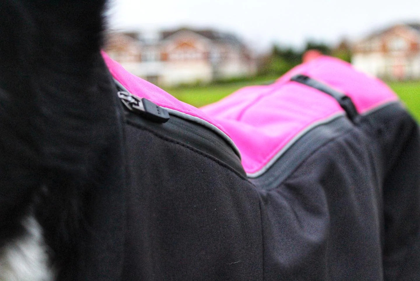 Jaegr Supreme Dog Coat - Highlighter Range - by Jaegr Dogwear-2