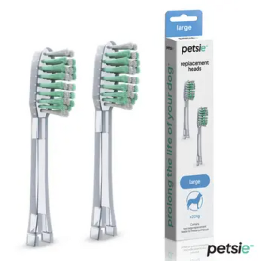 Têtes de rechange brosse à dents x2