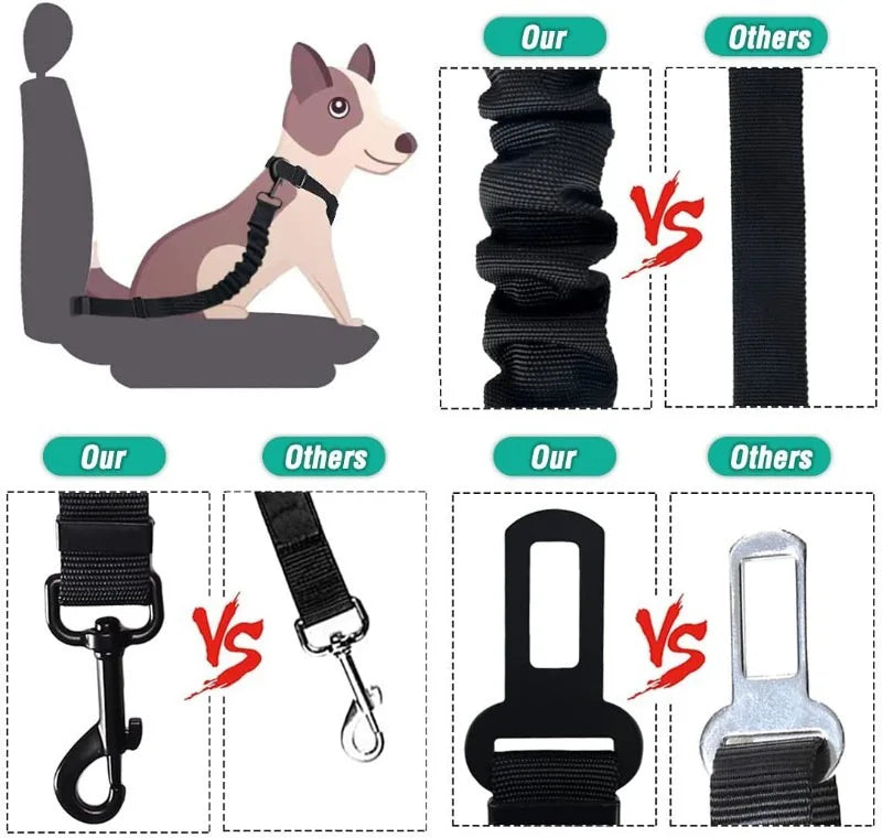 Ceinture de sécurité-2