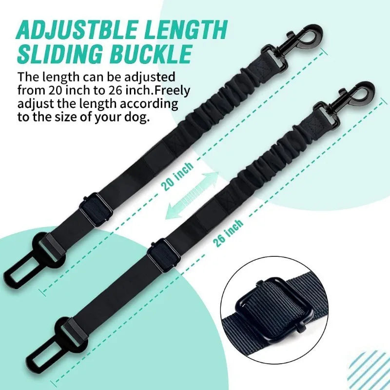 Ceinture de sécurité-3