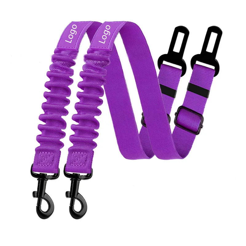 Ceinture de sécurité-5