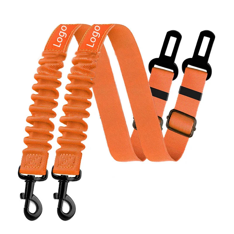 Ceinture de sécurité-6