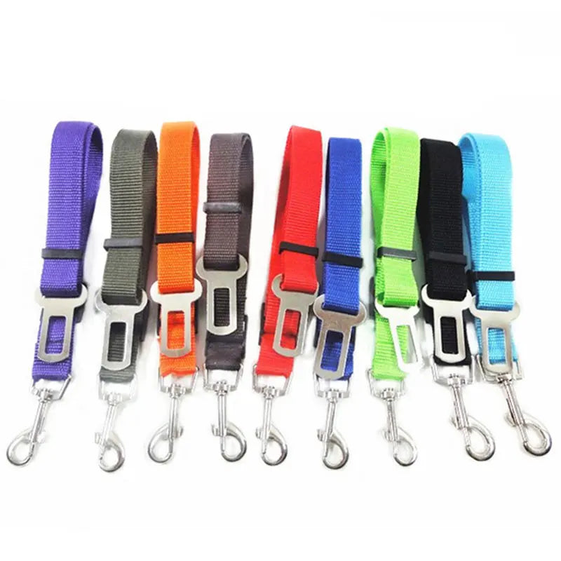 Ceinture de sécurité-17