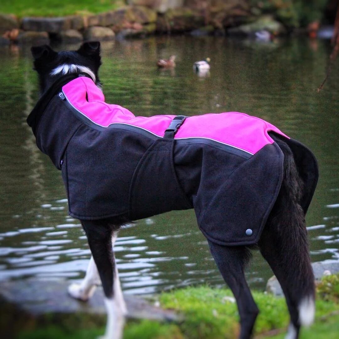 Jaegr Supreme Dog Coat - Highlighter Range - by Jaegr Dogwear-1