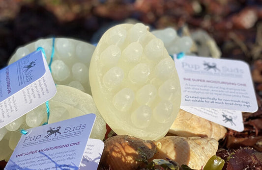 Dog Shampoo Bar - Massaging Anti-Stink, Anti-Fox Poo - by Pup Suds-0