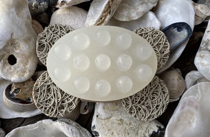 Dog Shampoo Bar Saver – by Pup Suds-4