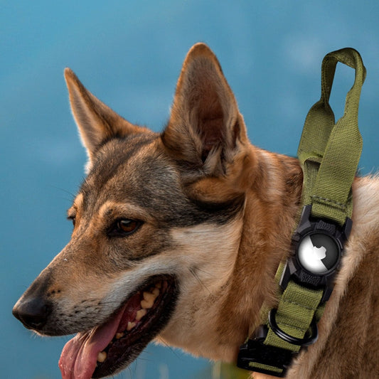 Collier AirTag-5